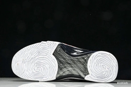 318376-101 23 Jordan Air 'All-Star' OG 0809